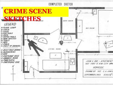 Free crime scene sketch software